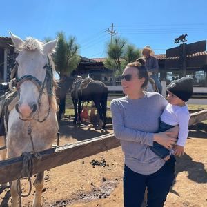 Meet your Posher, Gris